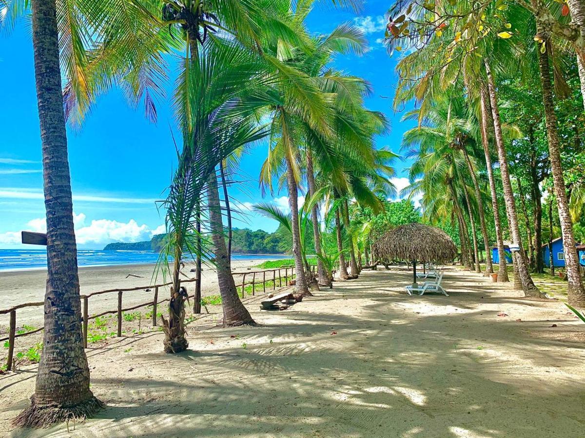 Hotel Oasis & Surf Camp Санта-Каталіна Екстер'єр фото